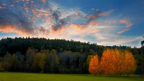 Beautiful Autumn Scene Photography In Sweden Wallpapers
