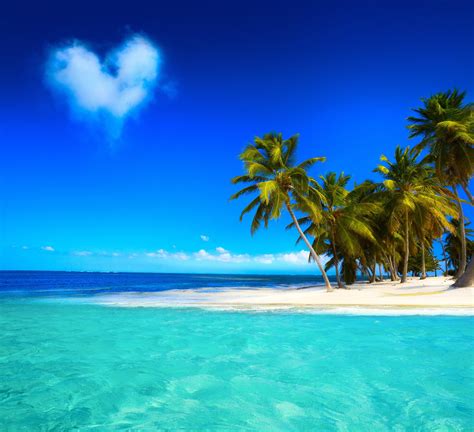 tropical paradise beach coast sea blue emerald ocean palm summer sand vacation cloud tropics sun
