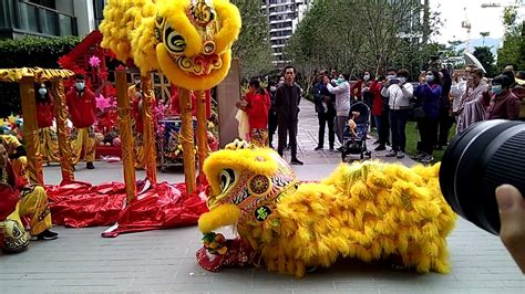 Kung Hie Fat Choi Chinese New Year Dragon Dance Hk Youtube