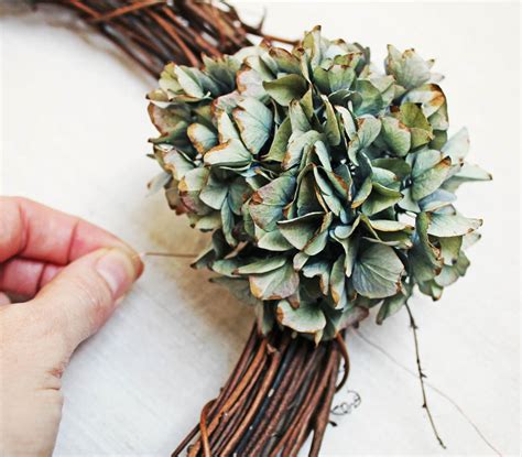 How To Make A Dried Hydrangea Wreath Apartment Apothecary