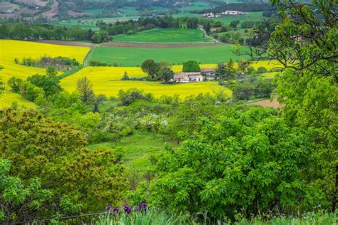 Rural Landscape Southern France Stock Photo Image Of Farm