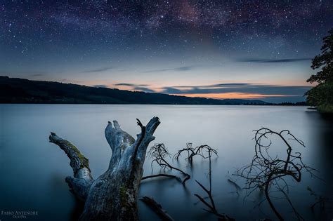 Photograph Lake Milk By Fabio Antenore On 500px Dry Tree