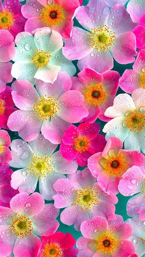 Floral pattern illustrations & vectors. "Mesmo nos dias difíceis, não desista! Lute com esperança ...