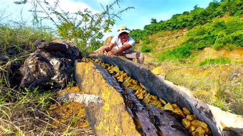 Mountain’s hidden treasure: a massive gold vein! A miner’s dream come