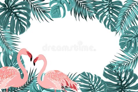 Tropical Border Frame Turquoise Leaves Flamingo Stock