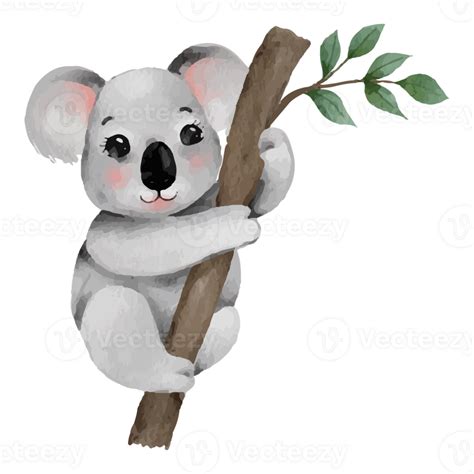Cute Cartoon Koala Lazy Koalas Clip Art Element Transparent Background