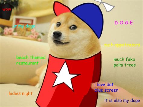 Search the imgflip meme database for popular memes and blank meme templates. Full Circle | Doge | Know Your Meme