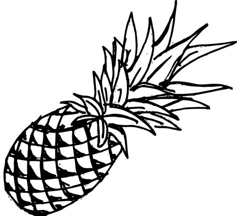 4 Pineapple Drawing Png Transparent