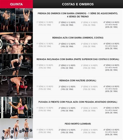 o melhor plano de treino para desenvolvimento muscular intermediário biceps shoulder