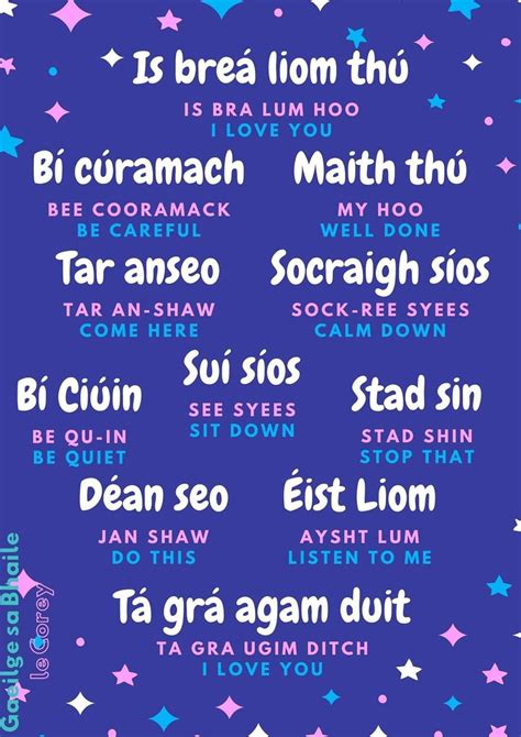 pin by sport development pgm on gaeilge irish language irish words irish gaelic language