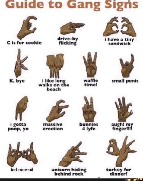 Guide To Gang Signs Beach Massive Bunnies Augh Poep Yo Erection 4 Tyfe Finget