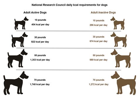 At 230 counts per minute per day, we're at 2500 calories per day. Complete and Balanced? Maybe…Maybe Not - Truth about Pet Food