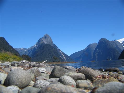 Guides New Zealand S Island Milford Sound Daves