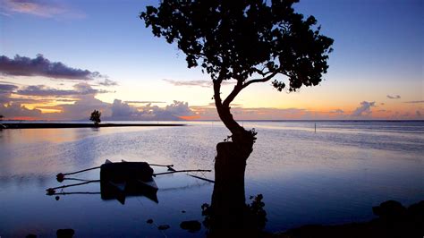 Visit Mahina 2021 Travel Guide For Mahina Windward Islands Expedia