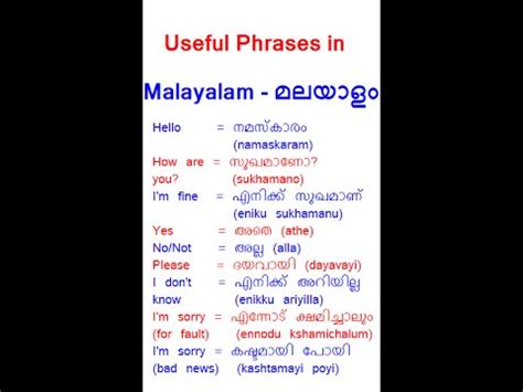 Useful Malayalam Phrases Youtube