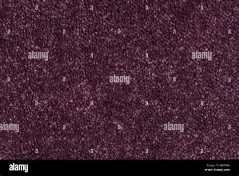 Closeup Detail Of Purple Carpet Texture Background Stock Photo Alamy