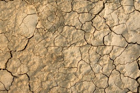 Cracked Earth Texture Stock Photo Download Image Now Istock