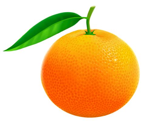 Orange Png Vector Clipart Image Fruit Illustration Clip Art Pictures