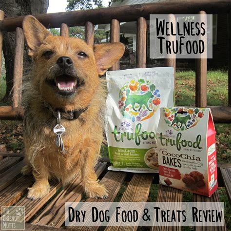 In february of 2011, 21.6 million cans of wellness canned cat food were recalled due to inadequate levels of thiamine. Review: Wellness TruFood Dry Dog Food & Treats | The ...