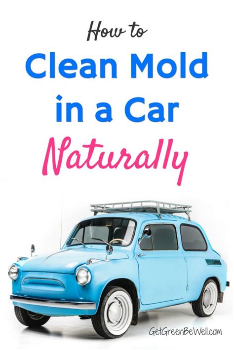 First, it causes irritation to the delicate lining of the bronchi and the tiny bronchioles in the lungs. How To Clean Mold in A Car Naturally - Get Green Be Well