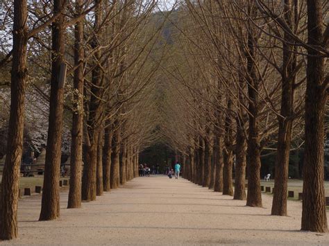 Tempat menarik di korea ini adalah contoh yang dekat tentang masyarakat korea. Penang Bridge, With Love: Seoul is ooo SENSUAL Nami Island