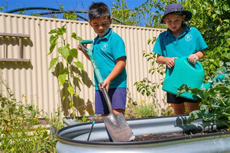 Mount Pleasant Primary School Department For Education
