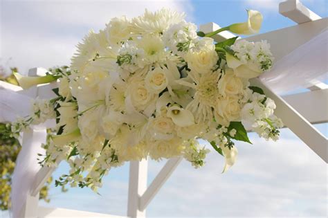 We have been unable to confirm any colors other than white for new horizons, so we're inclined to say this is still the case. All white arbor flowers | Flower bouquet wedding, Beach ...