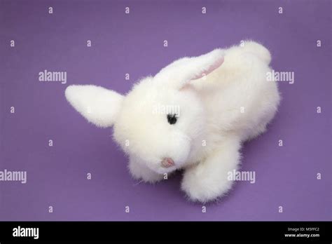 Ty Beanie Babies Fluffy White Rabbit Stock Photo Alamy