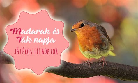 A madarak és fák napjának eredete a 20. Madarak és fák napja - játékos feladatok, melyek bővítik ...