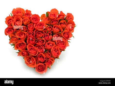 Heart Made From Red Roses Cut Out Stock Images And Pictures Alamy