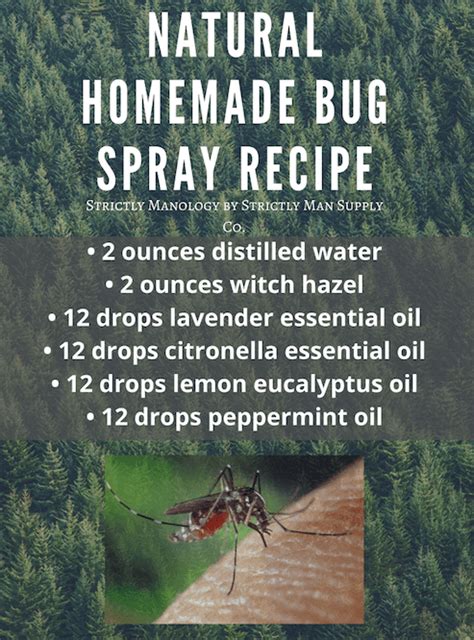 Natural Homemade Bug Spray That Works Strictly Manology