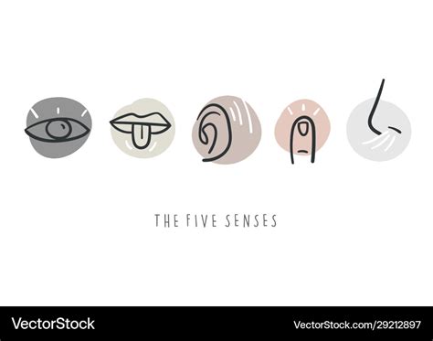 Simple Icons Representing Five Senses Royalty Free Vector