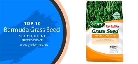 Best Bermuda Grass Seed 2023 Top 10 Scotts Bermuda Grass Seed