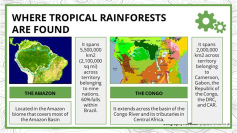 Gcse Geography Tropical Rainforests Revision Guide Teach Me Geography