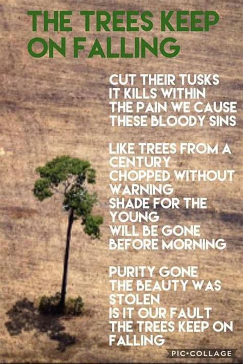 Poetry Rainforest Rainforests Animalsdeforestation Saveplanetpoem