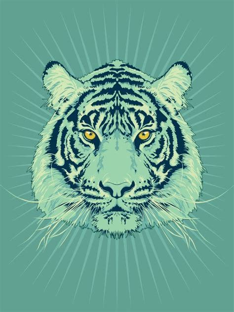 Tiger By Tom Ralston Via Behance Illustration Art