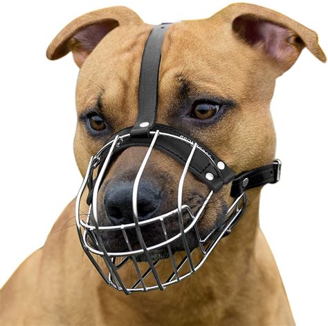 Best Dog Muzzle 2022 Top Muzzles For Dogs And Puppies Reviews