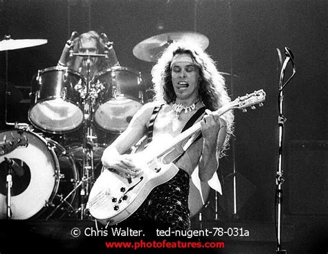 Ted Nugent Photo Archive Classic Rock Photography By Chris Walter For