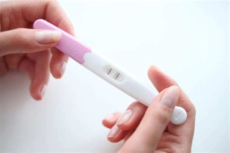 How Do Pregnancy Tests Work The Original Window To The Womb