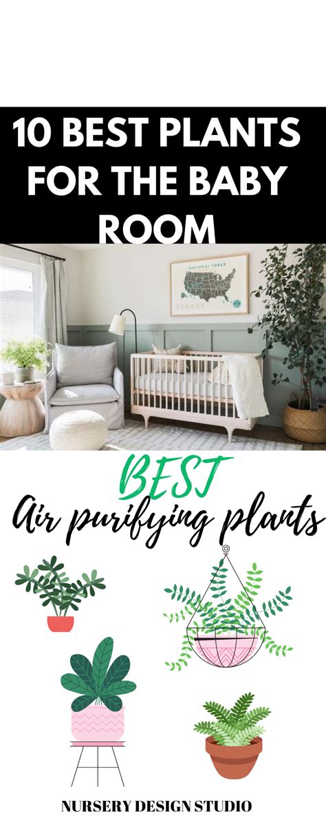 10 Baby Plants Georgieseung