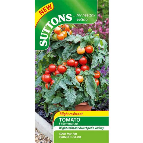 Tomato F1 Summerlast Vegetables To Sow In April When