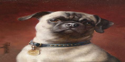 What Pugs Used To Look Like Before Inbreeding Pics