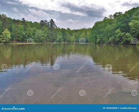 Badin Lake Stock Photo Image Of Travel Uwharrie Trees 105653068