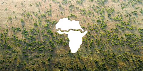 More Than 20 African Countries Are Planting A 8000 Km Long Great