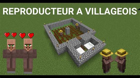 Comment Faire Reproduire Des Villageois Dans Minecraft - La Galerie
