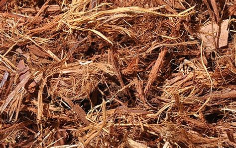 Add as necessary, but do not layer more than 3 inches total around trees or plants. What is Gorilla Hair Mulch and Its Benefits - Sumo Gardener