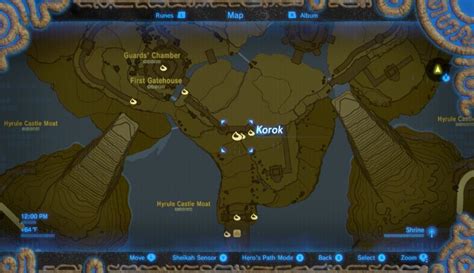 Hyrule Castle Korok Seed Locations Zelda Dungeon