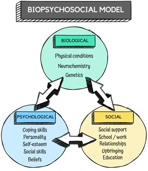 The Biopsychosocial Model Interacting Factors And Perpetuating Cycles