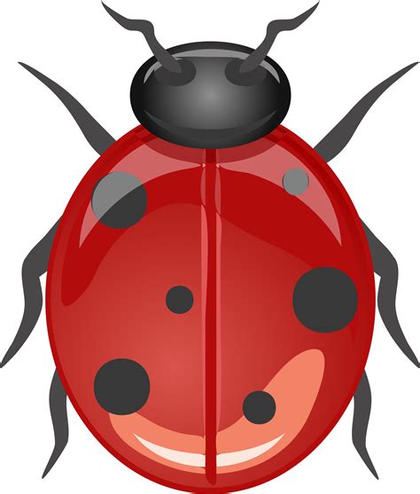 Free ladybug cliparts borders, download free clip art, free clip art on clipart library these pictures of this page are about:ladybug border clip art. Ladybugs clipart red animal, Ladybugs red animal ...