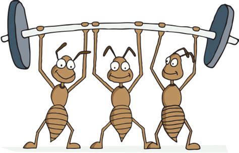 Cooperation synonyms, cooperation pronunciation, cooperation translation, english dictionary definition of cooperation. Types of Cooperation and Role of Cooperation - Article1000.com